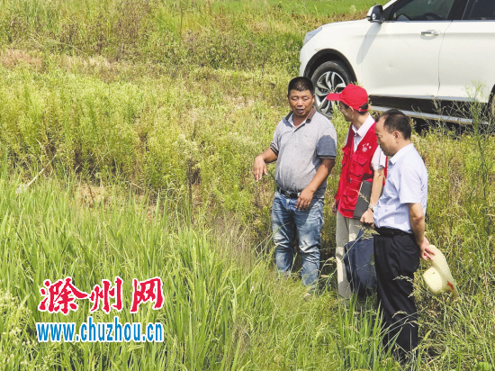 QQ图片20190903082042