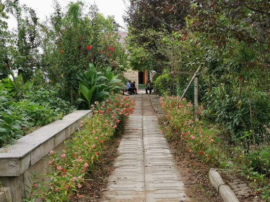 陆郢村乡村一隅2。季晓佳摄