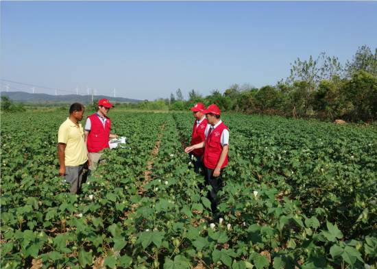 2019年8月26日，市农科院在来安县大墅镇大墅村开展精准脱贫技术指导志愿服务活动