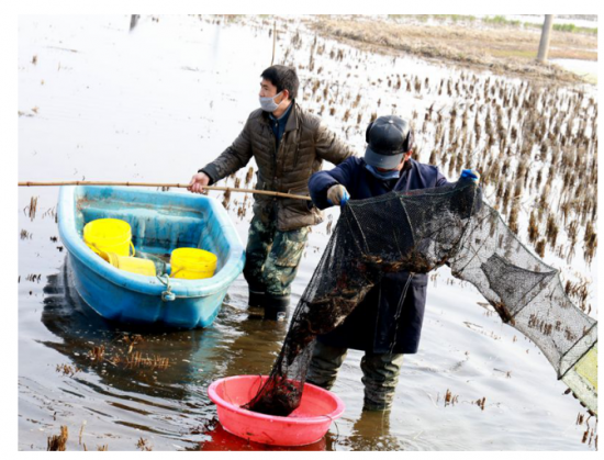 QQ图片20200305155822