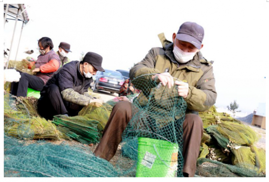 QQ图片20200305155905