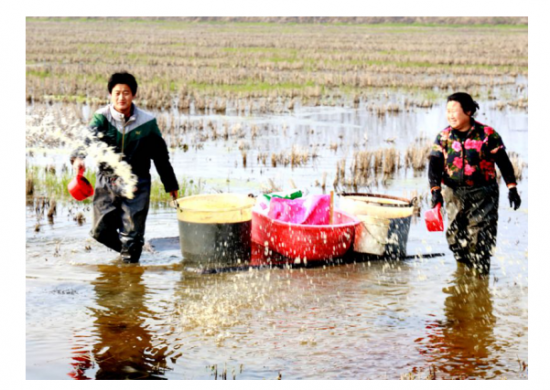 QQ图片20200305155914