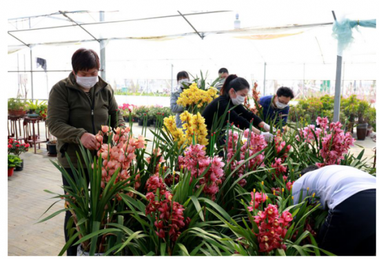 QQ图片20200305155955