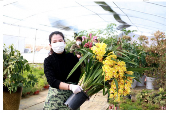 QQ图片20200305160004