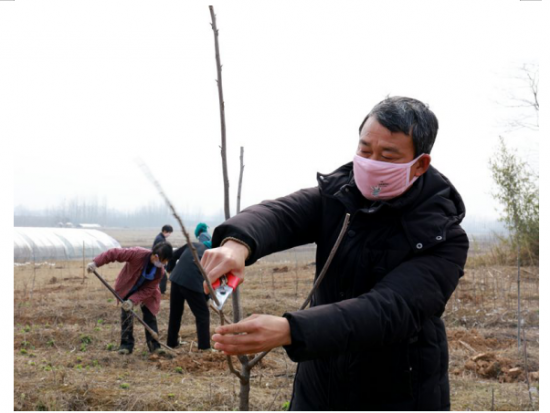 QQ图片20200305160101