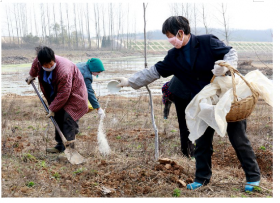 QQ图片20200305160109