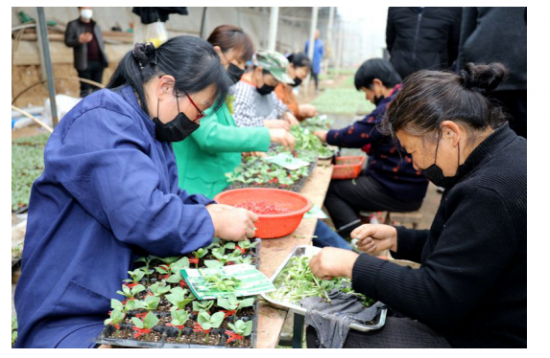 QQ图片20200305160241