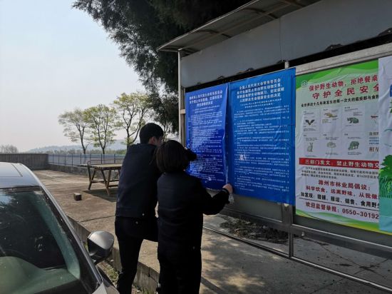 森林公安张贴《决定》海报