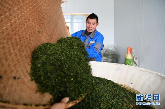 （新华全媒头条&middot;图文互动）（5）红土地上的&ldquo;绿色减贫&rdquo;决战&mdash;&mdash;大别山&ldquo;将军县&rdquo;金寨脱贫纪实