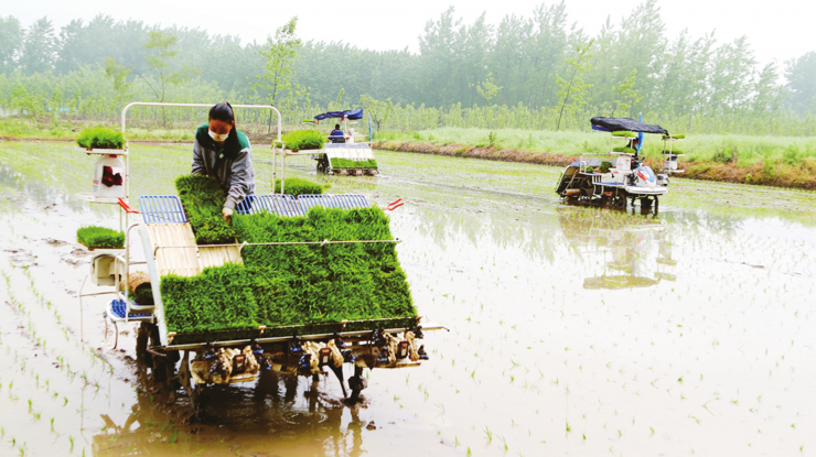 抢抓农时忙春耕