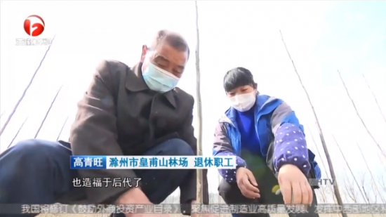 5.高青旺、高红在皇甫山林场育苗基地进行义务植树