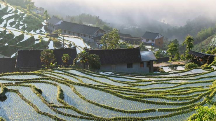 紫鹊界梯田美如画