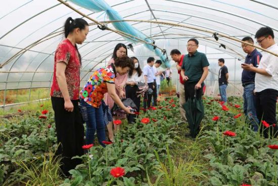 7ad5f0ed755805c0d6de6a86c22a141