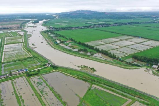 微信图片_20200719092126