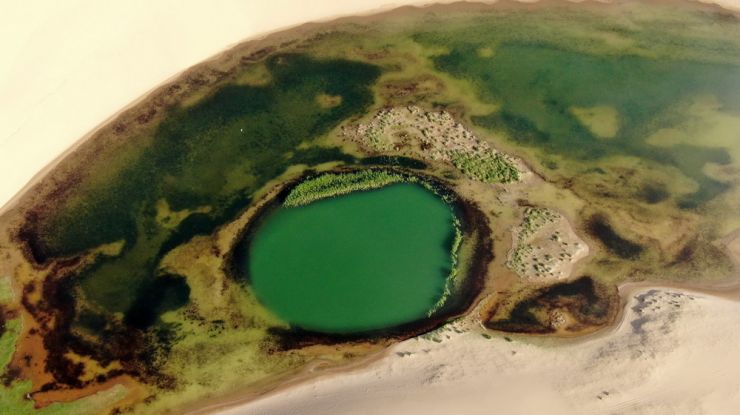 沙“绘”青海湖