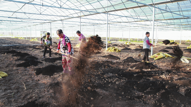 村企联建增效益