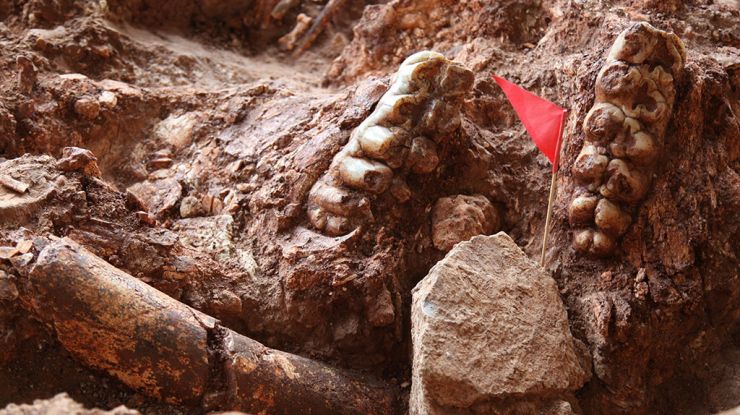 繁昌：人字洞遗址考古发掘取得重大进展