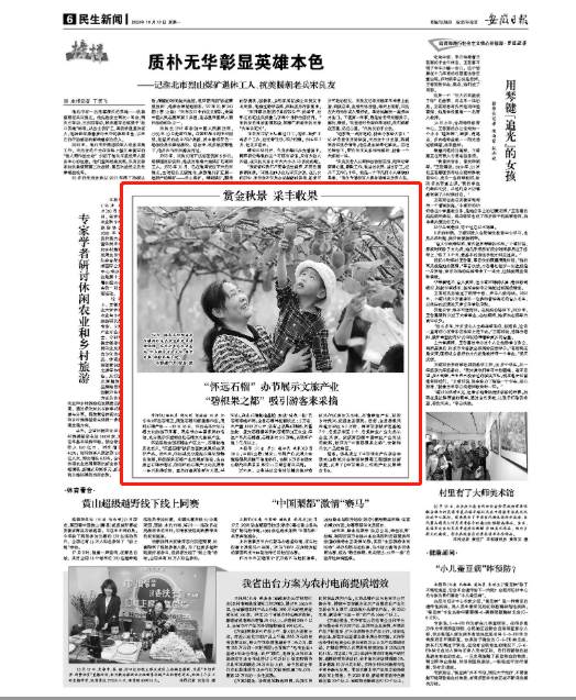 《安徽日报》 （2020年10月19日06版）