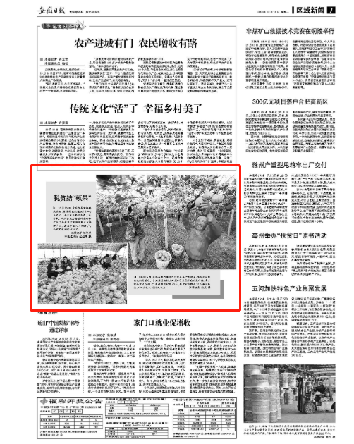 《安徽日报》（2020年10月19日07版）