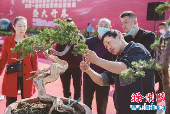 QQ截图20201026090137