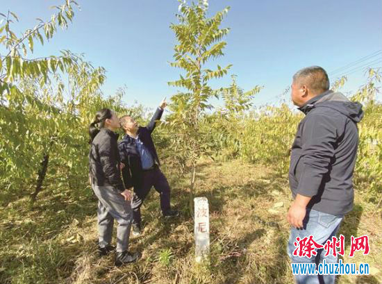 QQ截图20201027090823