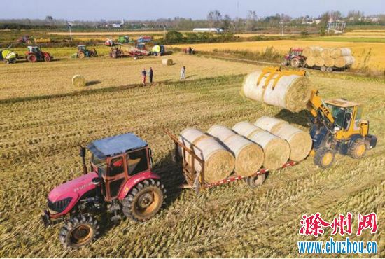 QQ截图20201028085150