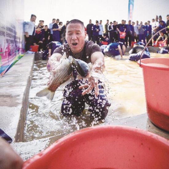 QQ截图20201104091229