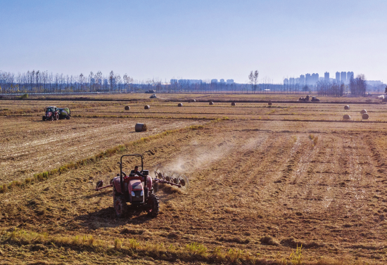 来安县:秸秆回收 变废为宝