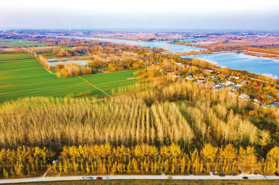 明光市:泊岗美景