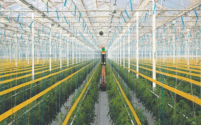 “慧”种地 助振兴