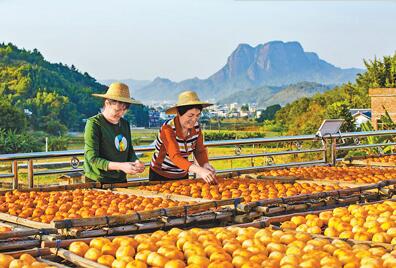 QQ截图20201130085308