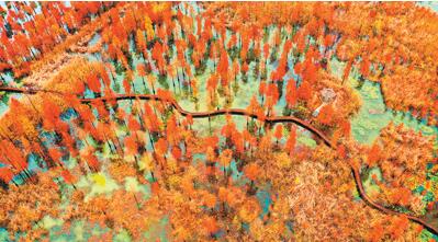 QQ截图20201201154954