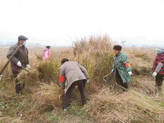 baf052a8-6505-4e3f-b4b9-5616c879e1d7