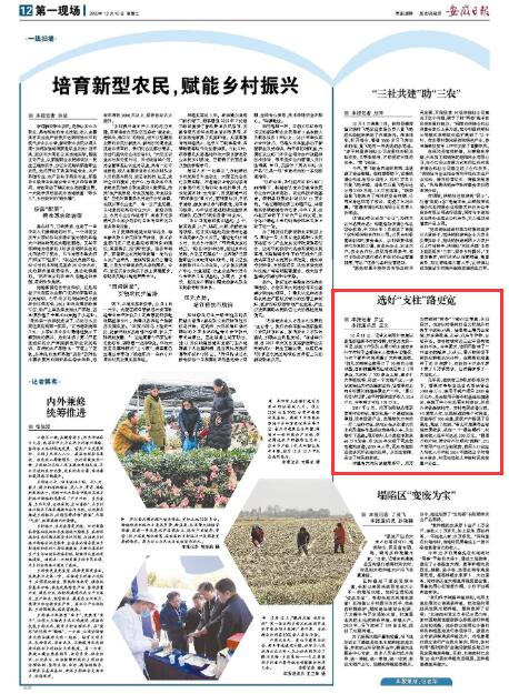 QQ截图20201215153459