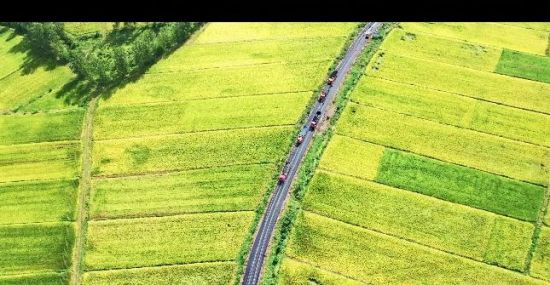 f44653f8-23d9-43e6-ae5c-a9d8e59d7987