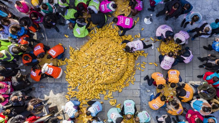 多彩活动庆丰收迎新年