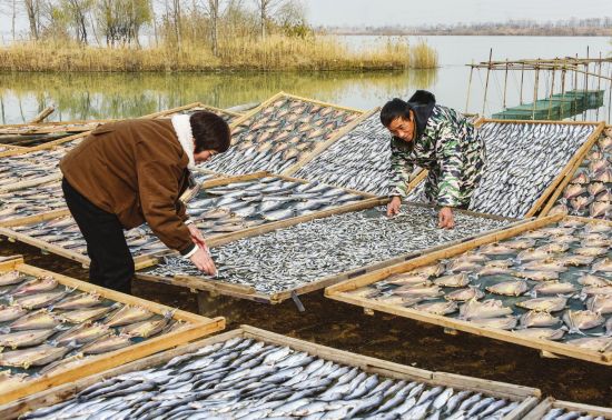 bf0aa9c2-f5ff-492b-bbc7-e157793bb527