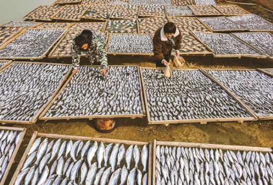 QQ截图20201230090437