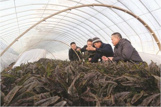 QQ截图20210106085212