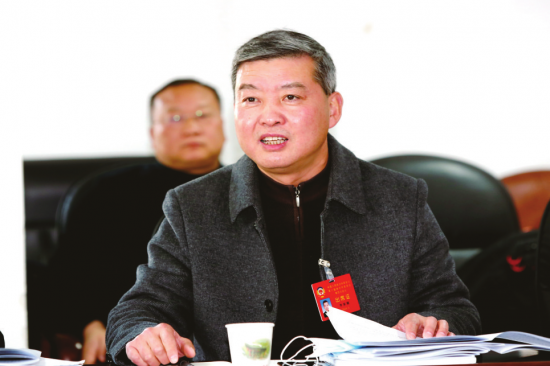 李家顺委员在审议政协工作报告