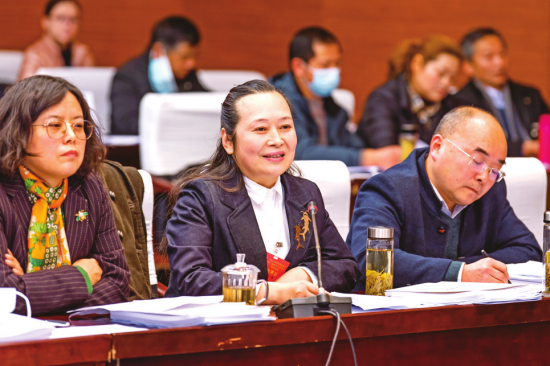 朱瑞委员在审议政协工作报告