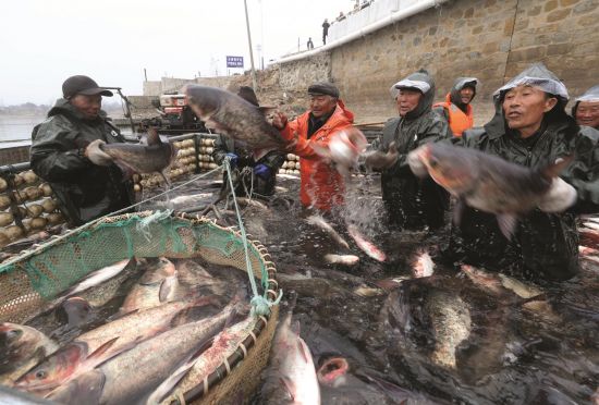 e648980c-6bdb-434a-b215-c168d3fb5c6a