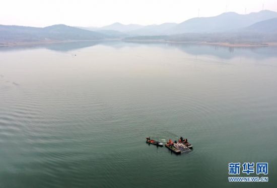 139689487_16112948984051n