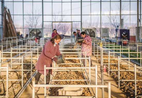 014e887d-dc18-42e8-a816-b07f79c7a168