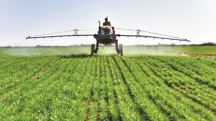 小麦生长旺 田间管理忙