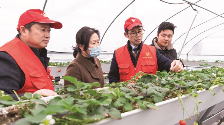 志愿服务助力乡村振兴