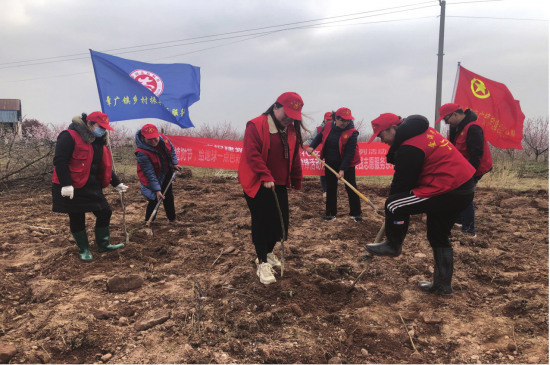 南谯：为绿色充“植”