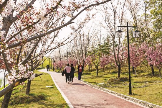 8ef91778-7f77-4e72-ae9a-90504ac5fffe