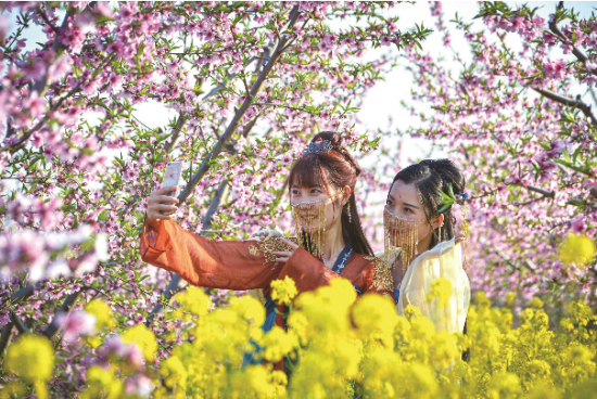 微信截图_20210406084630