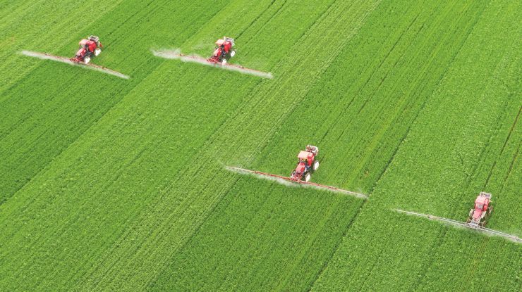 严防小麦赤霉病 确保夏粮丰收